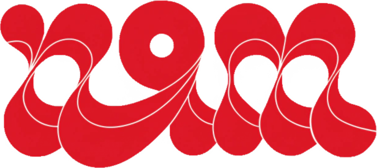 NAM Logo